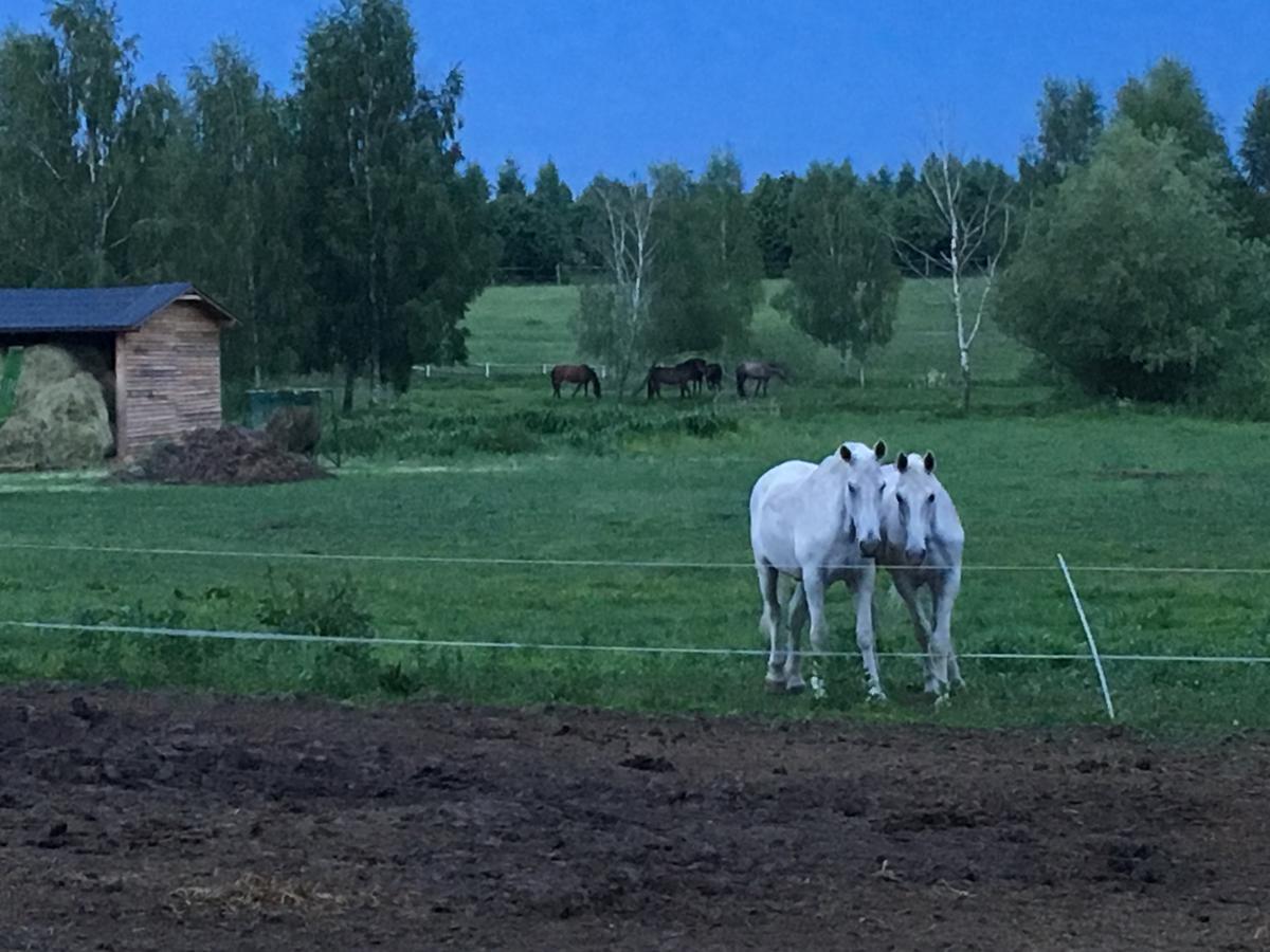 Stajnia Sarnowek Nad Jeziorem Rozany Rozajny Wielkie Extérieur photo