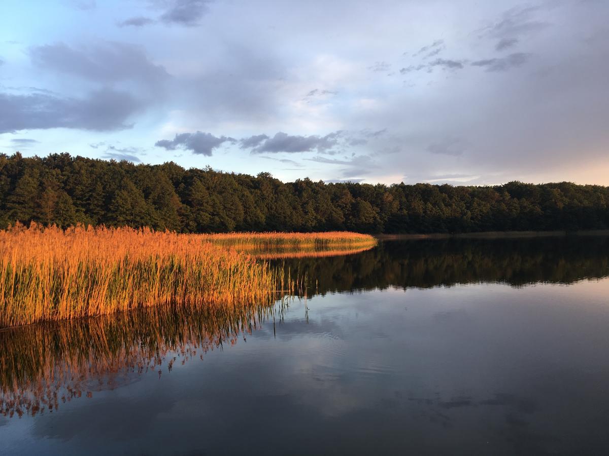 Stajnia Sarnowek Nad Jeziorem Rozany Rozajny Wielkie Extérieur photo